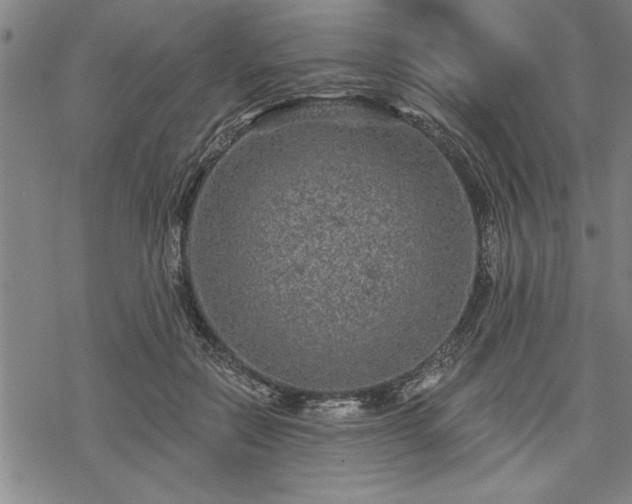 X0000069790554200605221117