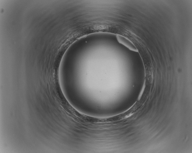 X0000069790556200605221117