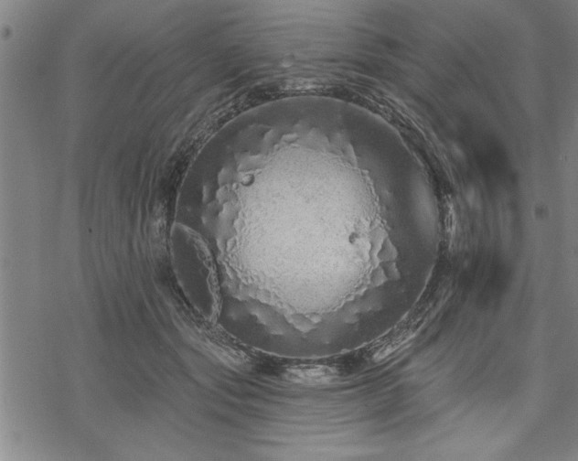 X0000069790557200605221117