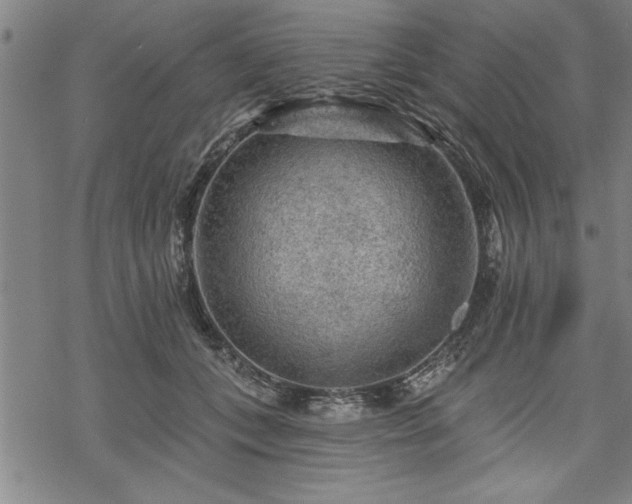 X0000069790559200605221117