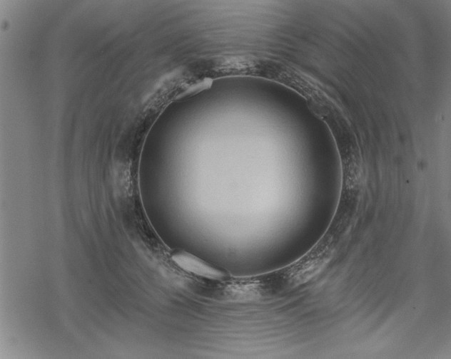 X0000069790560200605221117