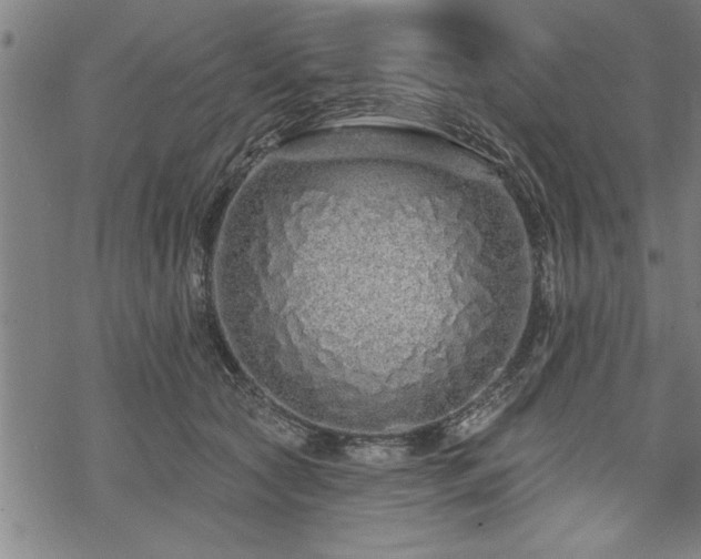 X0000069790561200605221117