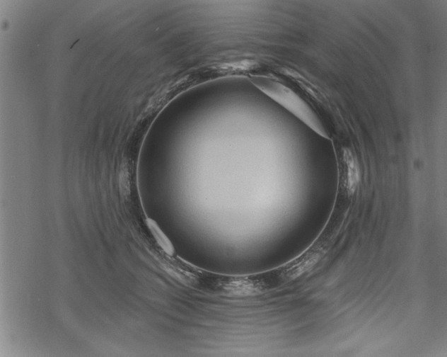 X0000069790562200605221117