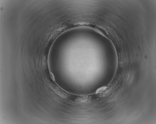 X0000069790563200605221117