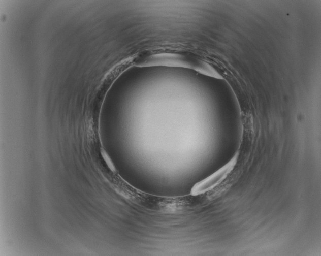 X0000069790564200605221117