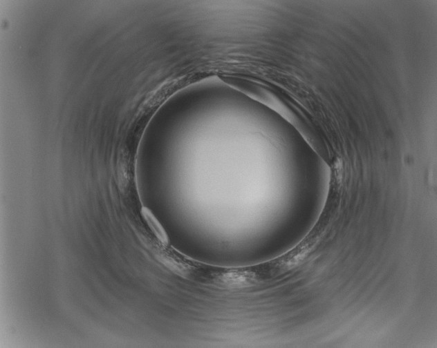 X0000069790566200605221117