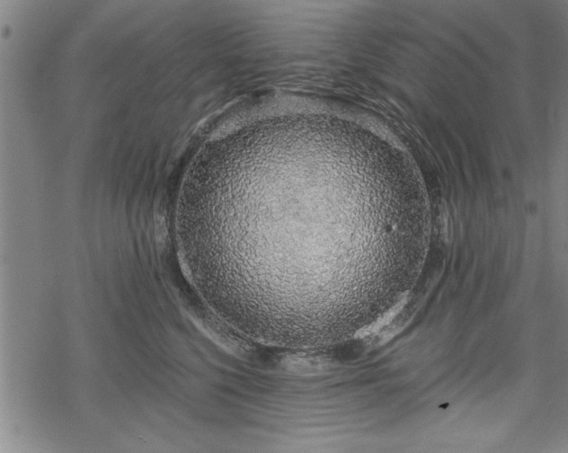 X0000069790568200605221117