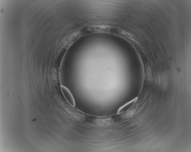 X0000069790571200605221117