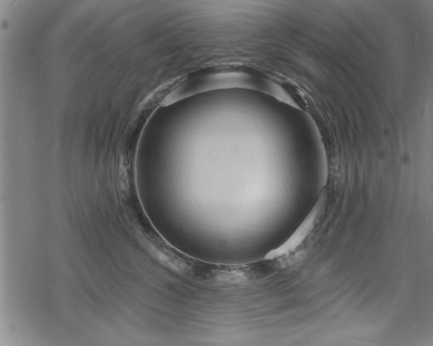 X0000069790572200605221117