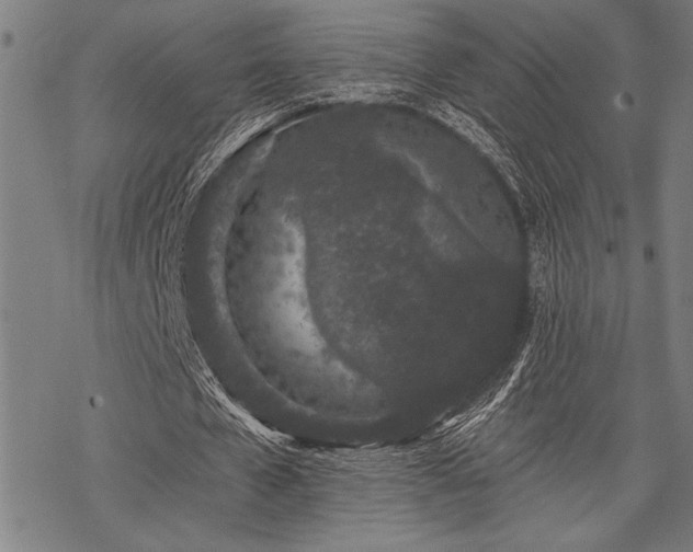 X0000069790577200605221117