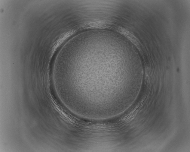 X0000069790578200605221117