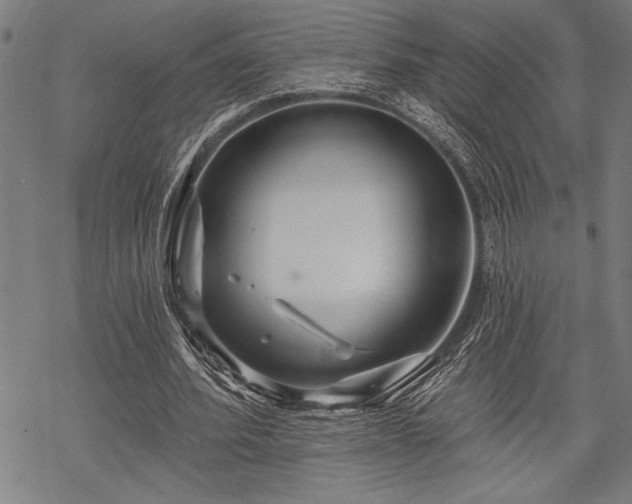 X0000069790580200605221117