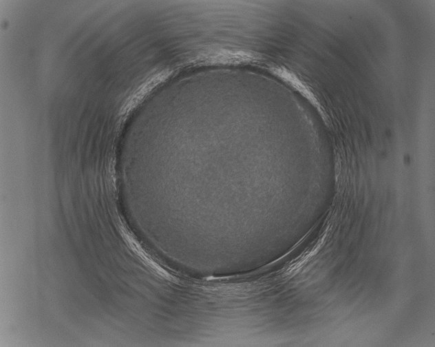 X0000069790581200605221117