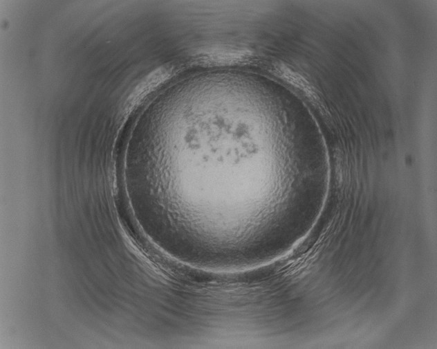 X0000069790582200605221117