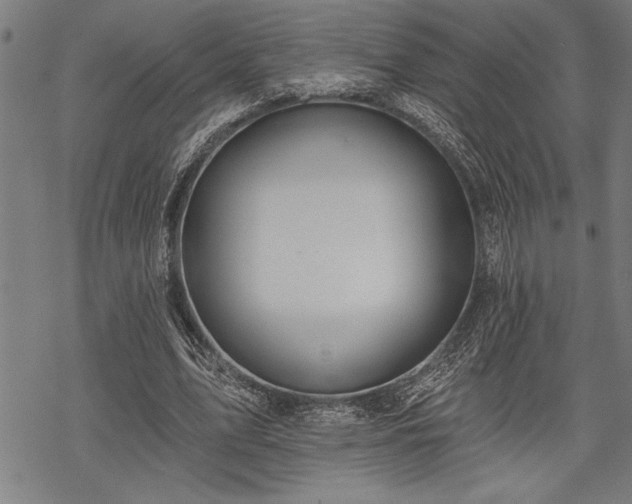 X0000069790583200605221117