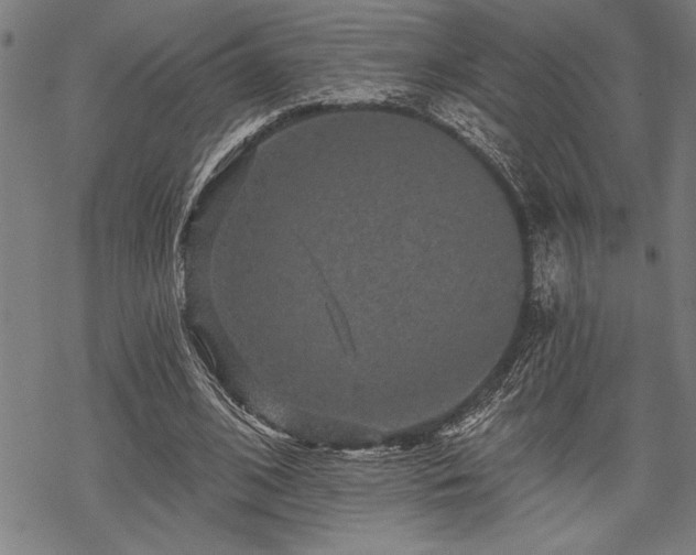 X0000069790584200605221117