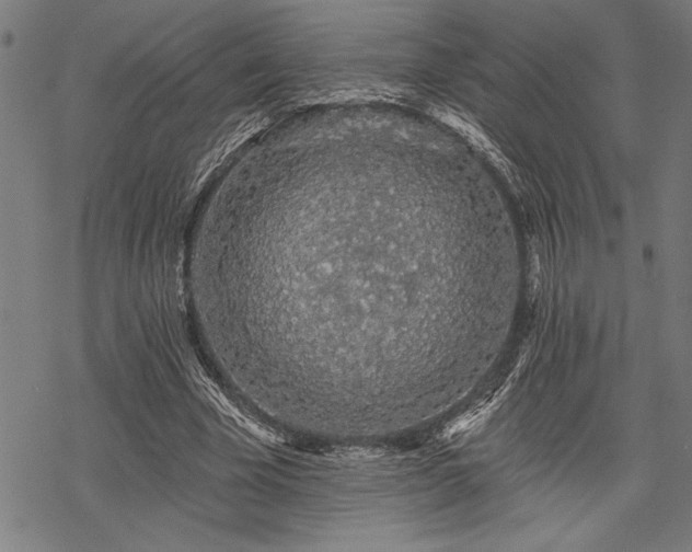 X0000069790585200605221117