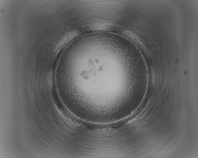 X0000069790586200605221117