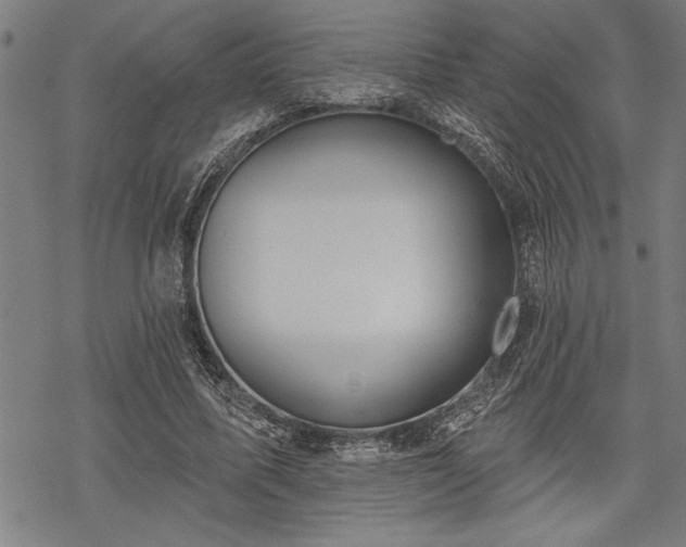 X0000069790587200605221117