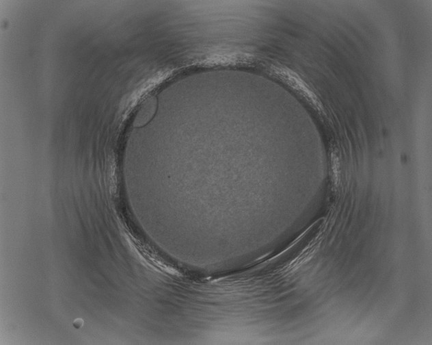 X0000069790588200605221116