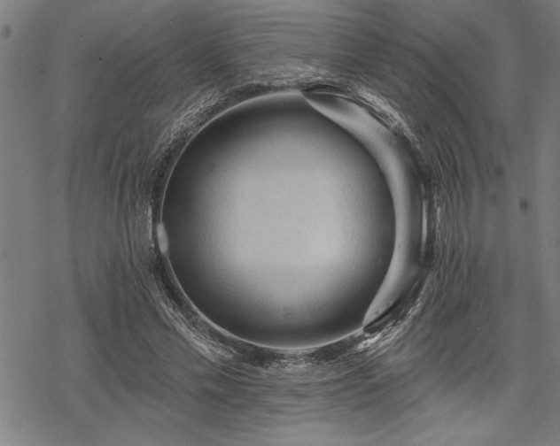 X0000069790589200605221116