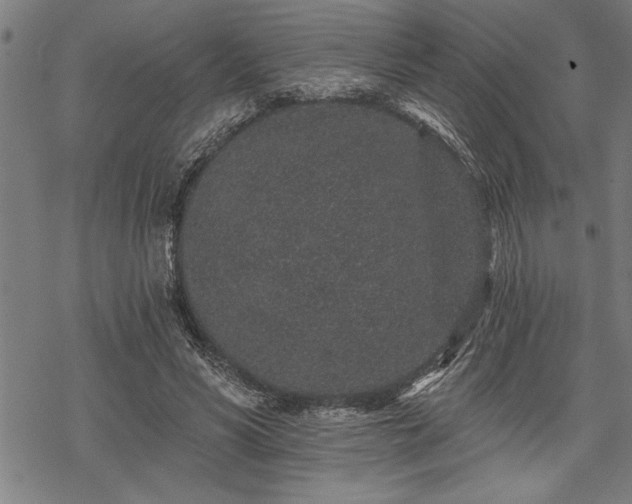 X0000069790590200605221116