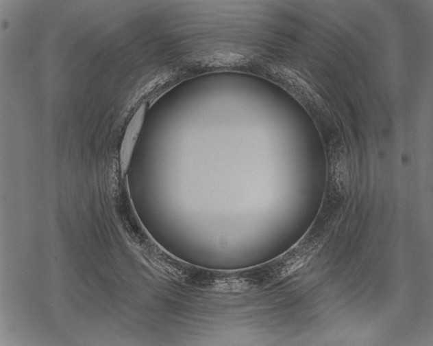 X0000069790591200605221116