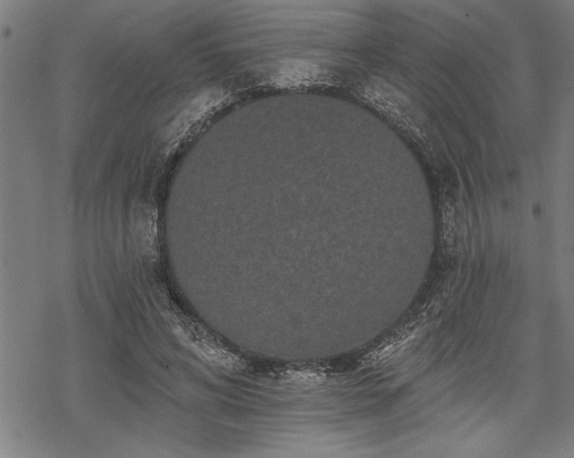 X0000069790592200605221116