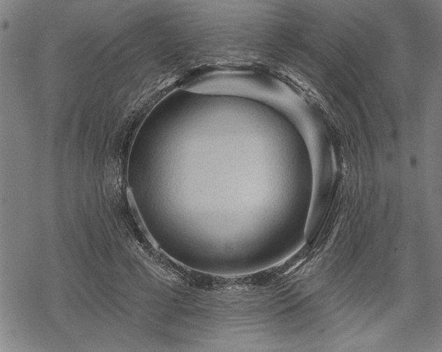 X0000069790593200605221116