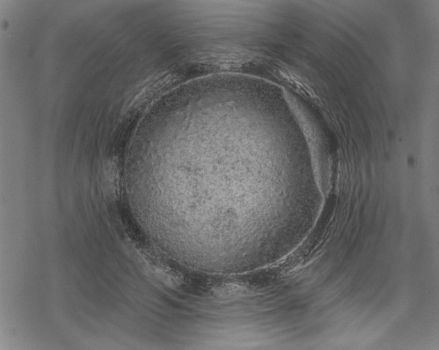 X0000069790594200605221116