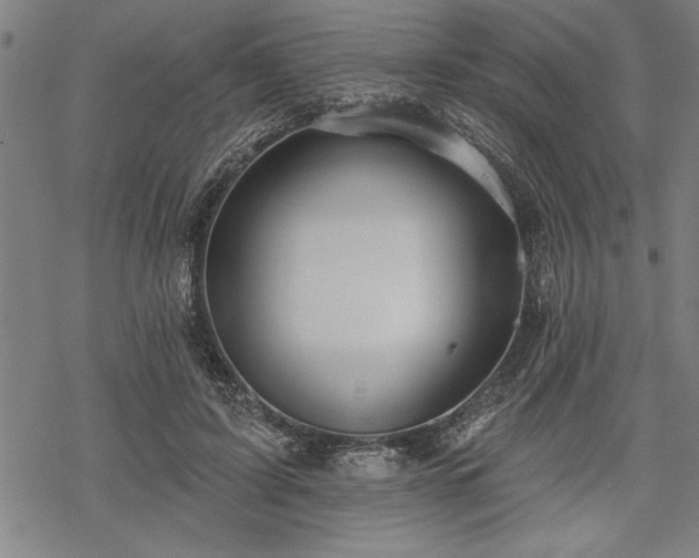 X0000069790595200605221116