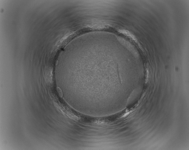 X0000069790596200605221116