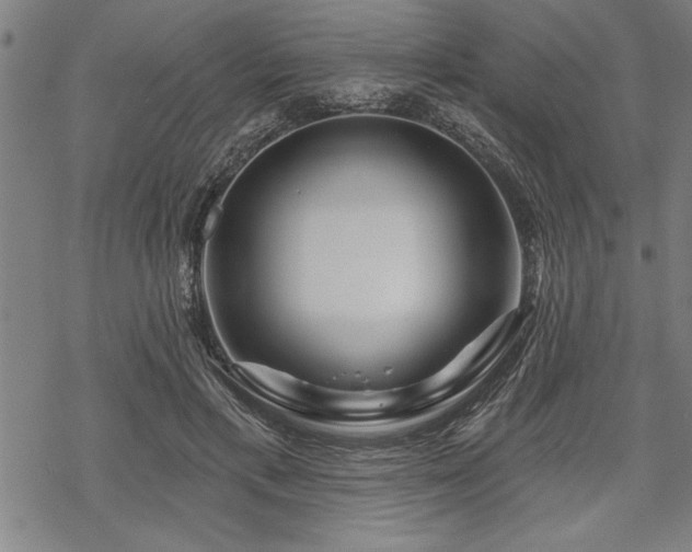 X0000069790597200605221116