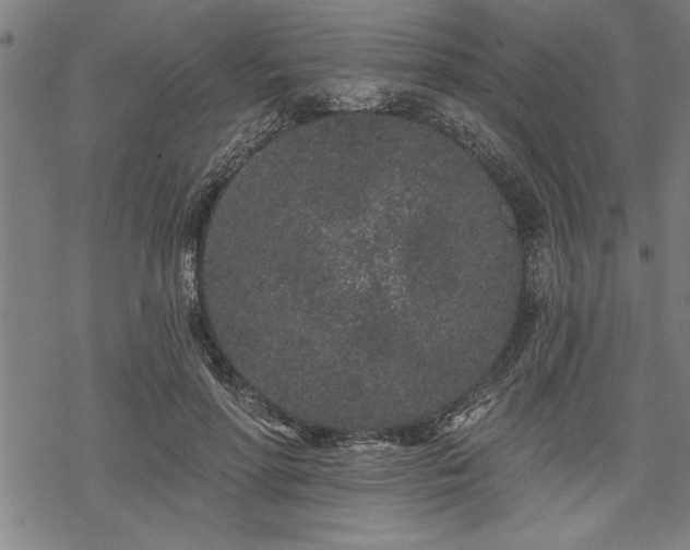 X0000069790598200605221116