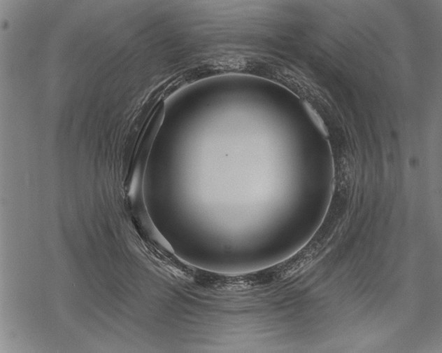 X0000069790600200605221116