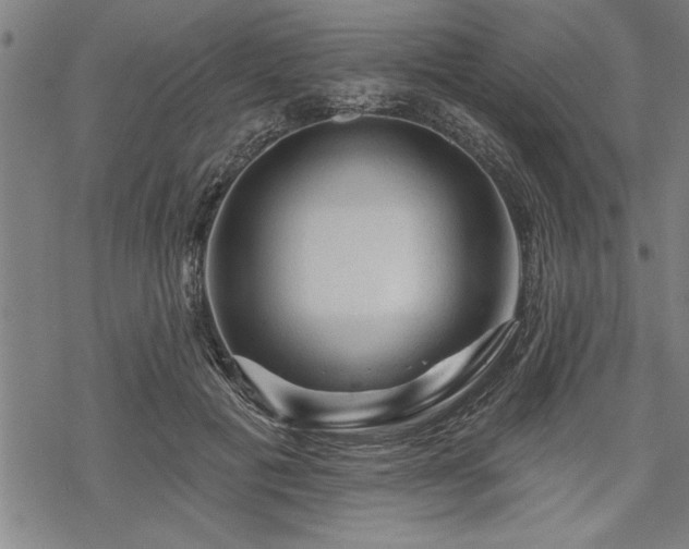 X0000069790601200605221116