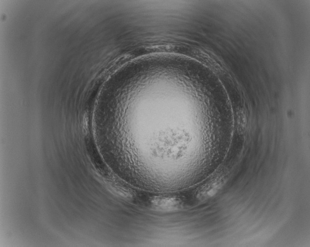 X0000069790602200605221116