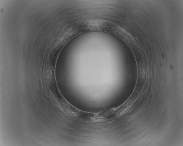 X0000069790603200605221116