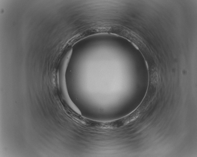 X0000069790604200605221116