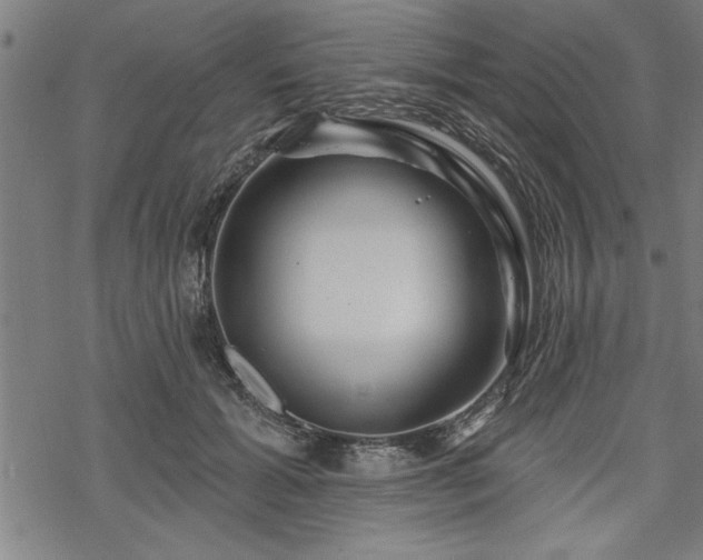 X0000069790605200605221116