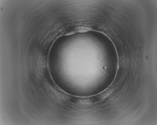 X0000069790606200605221116