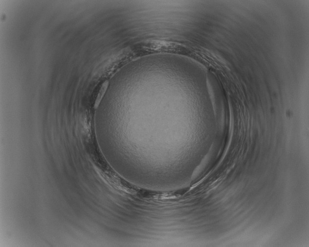 X0000069790607200605221116