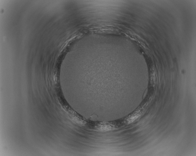 X0000069790608200605221116