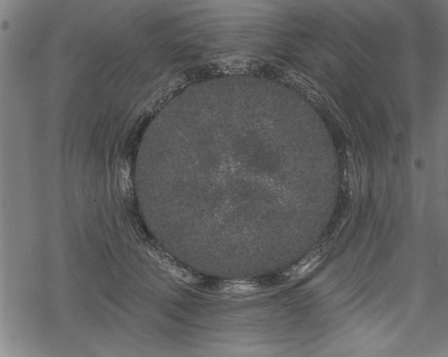 X0000069790610200605221116