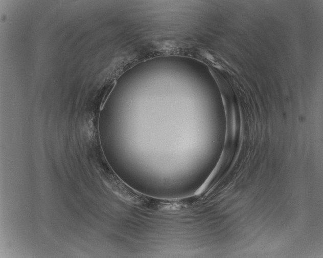 X0000069790611200605221116