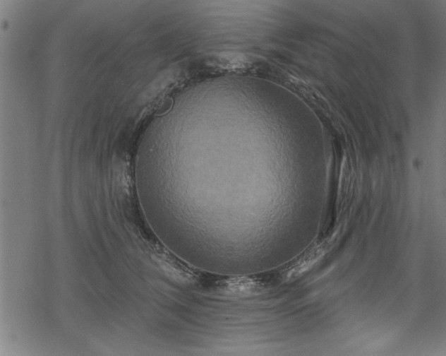 X0000069790612200605221116