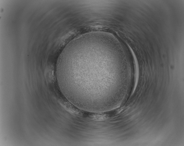 X0000069790615200605221116