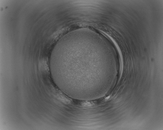 X0000069790616200605221116