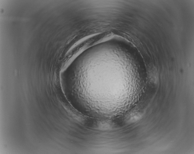 X0000069790618200605221116