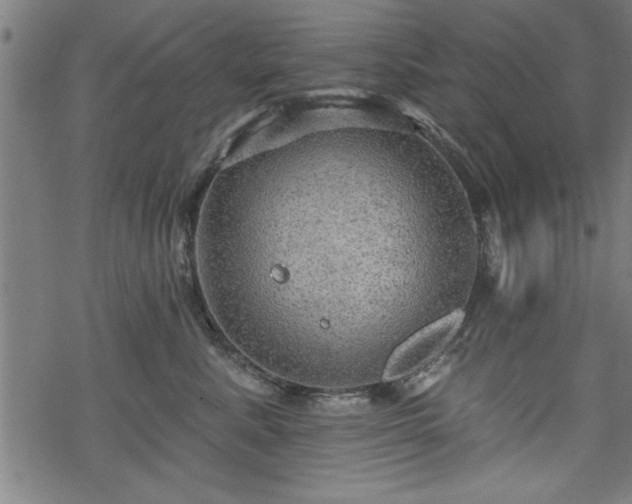 X0000069790619200605221116